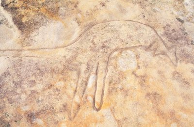 Aboriginal Rock Carving of Kangaroo, Jibbon Head, Royal National Park, Sydney, Australia by Unknown